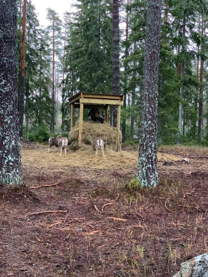 Cozy House In Kosta Center Surrounding With Swedish Nature Экстерьер фото